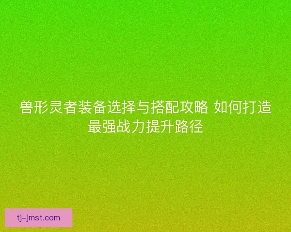 兽形灵者装备选择与搭配攻略 如何打造最强战力提升路径