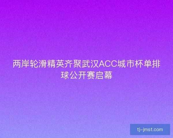 两岸轮滑精英齐聚武汉ACC城市杯单排球公开赛启幕