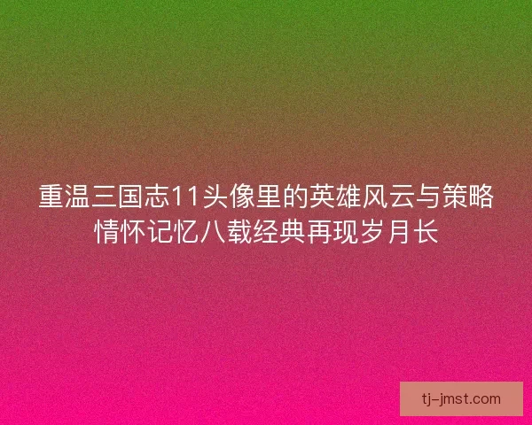 重温三国志11头像里的英雄风云与策略情怀记忆八载经典再现岁月长